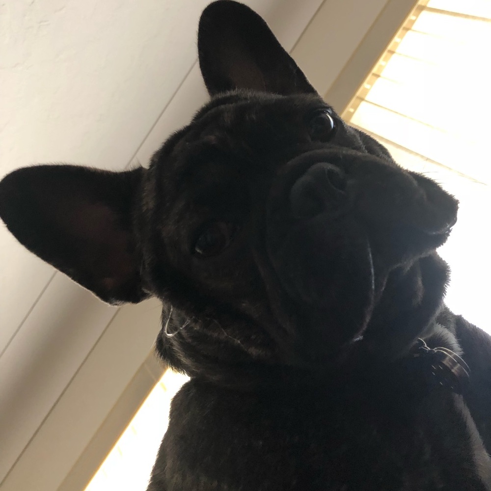 Meet your Posher, Krista